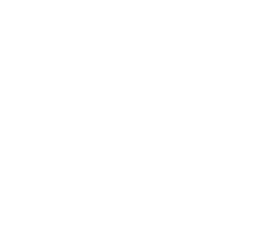 Supreme Hoops Training